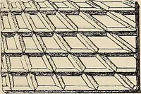 An illustration from Méthode de composition ornementale (1905)