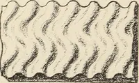 An illustration from Méthode de composition ornementale (1905)