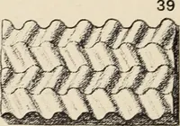 An illustration from Méthode de composition ornementale (1905)
