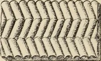 An illustration from Méthode de composition ornementale (1905)