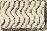 An illustration from Méthode de composition ornementale (1905)