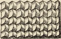 An illustration from Méthode de composition ornementale (1905)