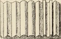 An illustration from Méthode de composition ornementale (1905)