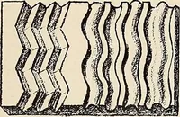 An illustration from Méthode de composition ornementale (1905)