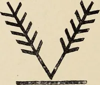 An illustration from Méthode de composition ornementale (1905)