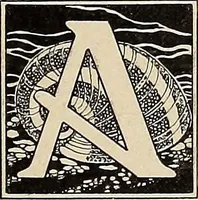 Picture 3 of 1030 from Méthode de composition ornementale (1905), leaf 10