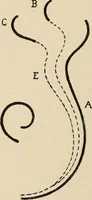 An illustration from Méthode de composition ornementale (1905)