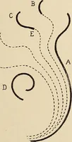 Picture 240 of 1030 from Méthode de composition ornementale (1905), leaf 106