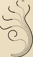An illustration from Méthode de composition ornementale (1905)