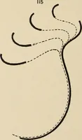 An illustration from Méthode de composition ornementale (1905)