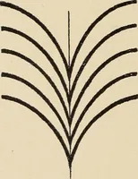 Picture 257 of 1030 from Méthode de composition ornementale (1905), leaf 117