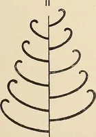An illustration from Méthode de composition ornementale (1905)