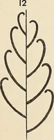 An illustration from Méthode de composition ornementale (1905)