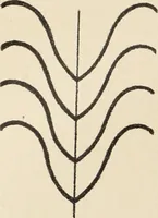 An illustration from Méthode de composition ornementale (1905)
