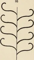 Picture 268 of 1030 from Méthode de composition ornementale (1905), leaf 119