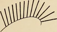 Picture 285 of 1030 from Méthode de composition ornementale (1905), leaf 126