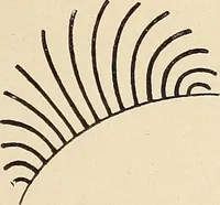 An illustration from Méthode de composition ornementale (1905)