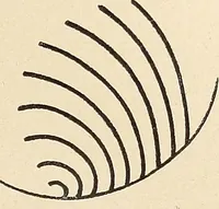 An illustration from Méthode de composition ornementale (1905)