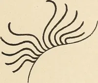 An illustration from Méthode de composition ornementale (1905)