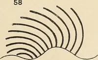 Picture 292 of 1030 from Méthode de composition ornementale (1905), leaf 126