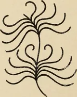 An illustration from Méthode de composition ornementale (1905)