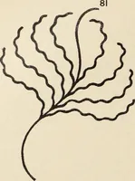 An illustration from Méthode de composition ornementale (1905)