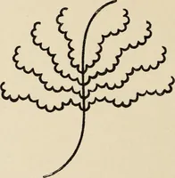 An illustration from Méthode de composition ornementale (1905)