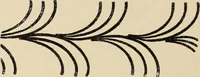 An illustration from Méthode de composition ornementale (1905)