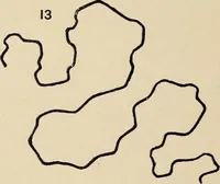 Picture 14 of 1030 from Méthode de composition ornementale (1905), leaf 15