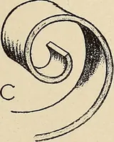 An illustration from Méthode de composition ornementale (1905)