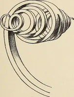 An illustration from Méthode de composition ornementale (1905)