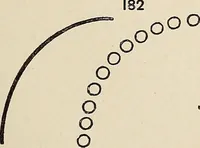 An illustration from Méthode de composition ornementale (1905)