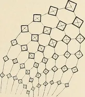 An illustration from Méthode de composition ornementale (1905)