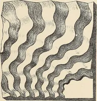 An illustration from Méthode de composition ornementale (1905)