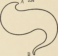 Picture 442 of 1030 from Méthode de composition ornementale (1905), leaf 205