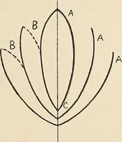 An illustration from Méthode de composition ornementale (1905)