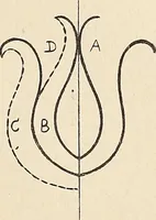 An illustration from Méthode de composition ornementale (1905)