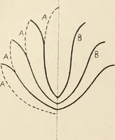 An illustration from Méthode de composition ornementale (1905)