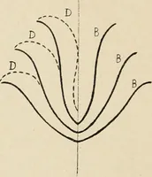 An illustration from Méthode de composition ornementale (1905)