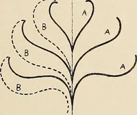 Picture 464 of 1030 from Méthode de composition ornementale (1905), leaf 214