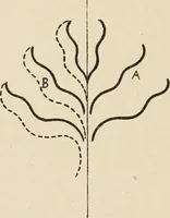 Picture 469 of 1030 from Méthode de composition ornementale (1905), leaf 215