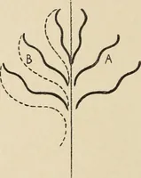 An illustration from Méthode de composition ornementale (1905)