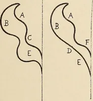 An illustration from Méthode de composition ornementale (1905)