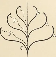 An illustration from Méthode de composition ornementale (1905)