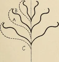 An illustration from Méthode de composition ornementale (1905)