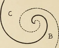 An illustration from Méthode de composition ornementale (1905)