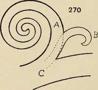 An illustration from Méthode de composition ornementale (1905)