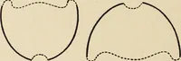 An illustration from Méthode de composition ornementale (1905)