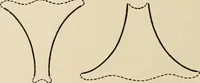 An illustration from Méthode de composition ornementale (1905)