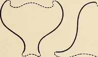 An illustration from Méthode de composition ornementale (1905)